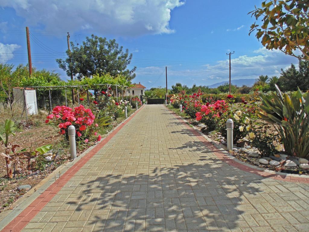 Eliofos Luxury Villa Πόλη Εξωτερικό φωτογραφία