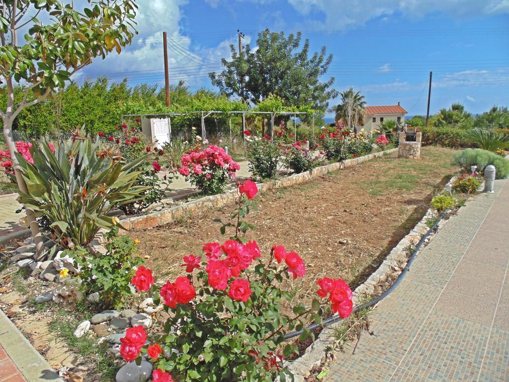 Eliofos Luxury Villa Πόλη Εξωτερικό φωτογραφία